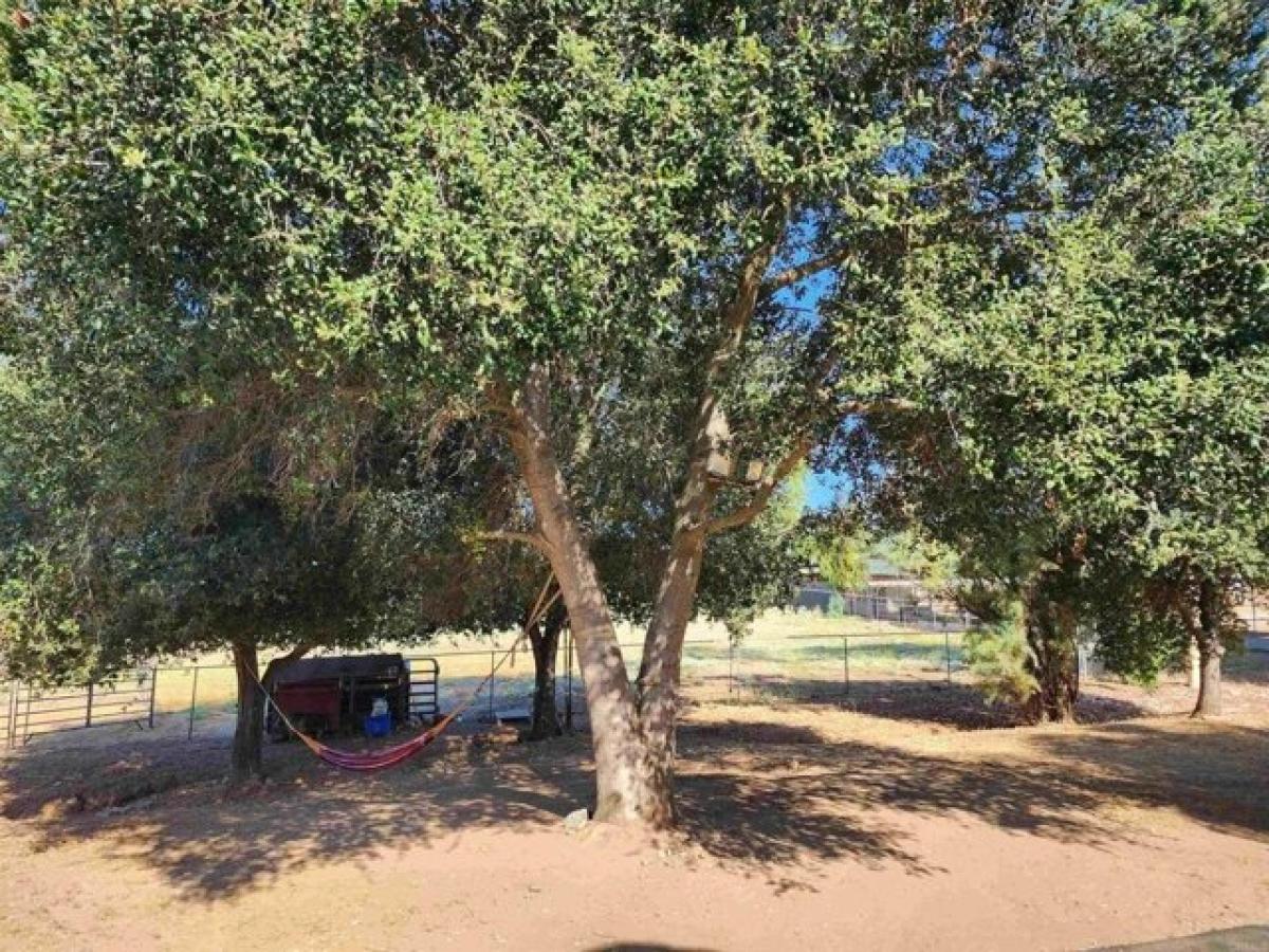 Picture of Home For Sale in Valley Center, California, United States