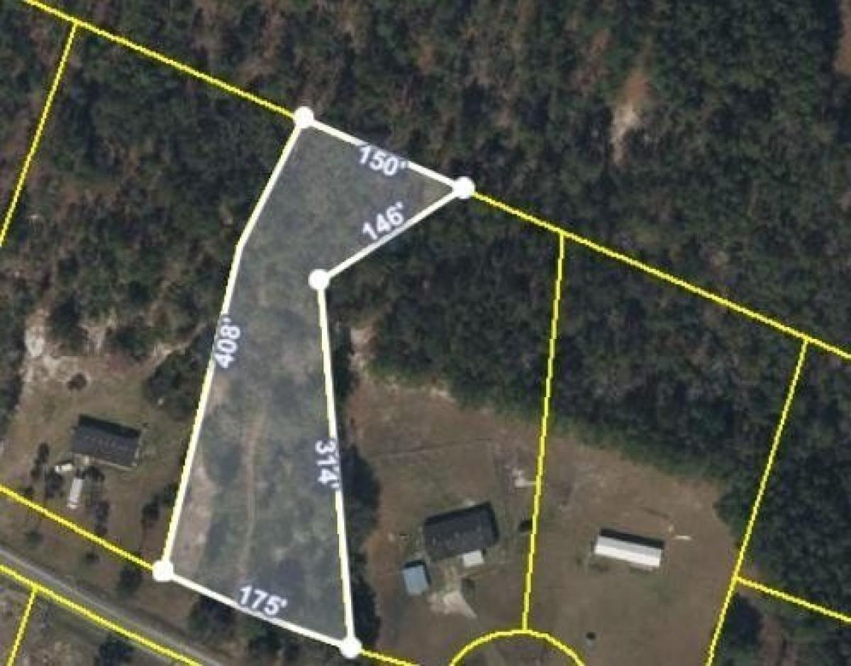 Picture of Residential Land For Sale in Blackshear, Georgia, United States