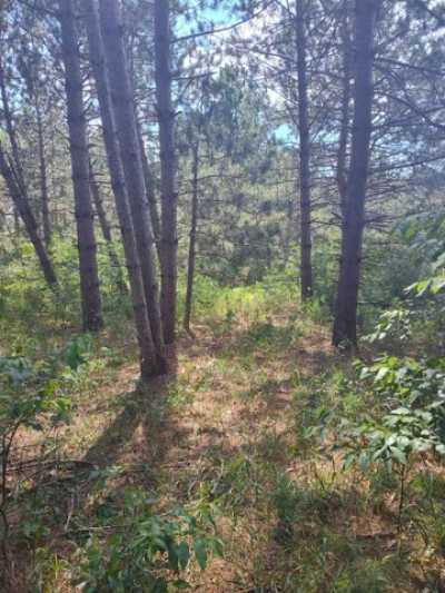 Residential Land For Sale in Arkdale, Wisconsin