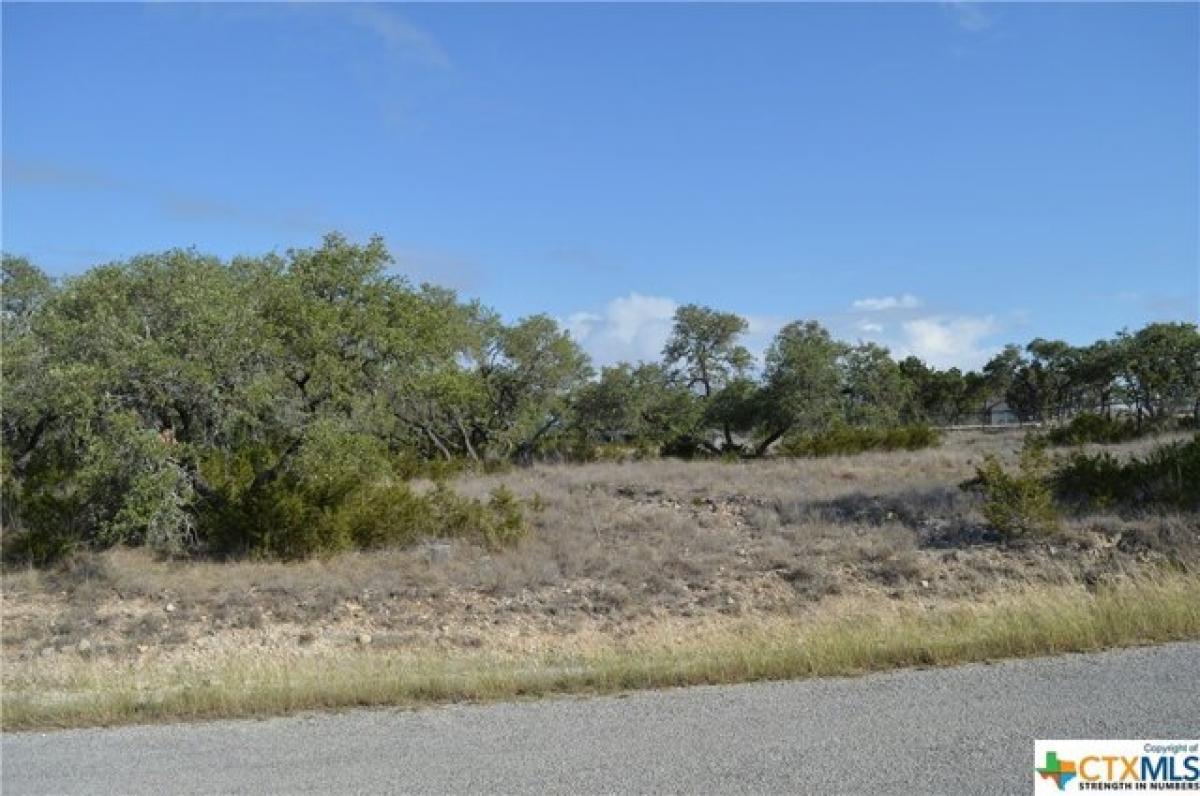 Picture of Residential Land For Sale in Fischer, Texas, United States