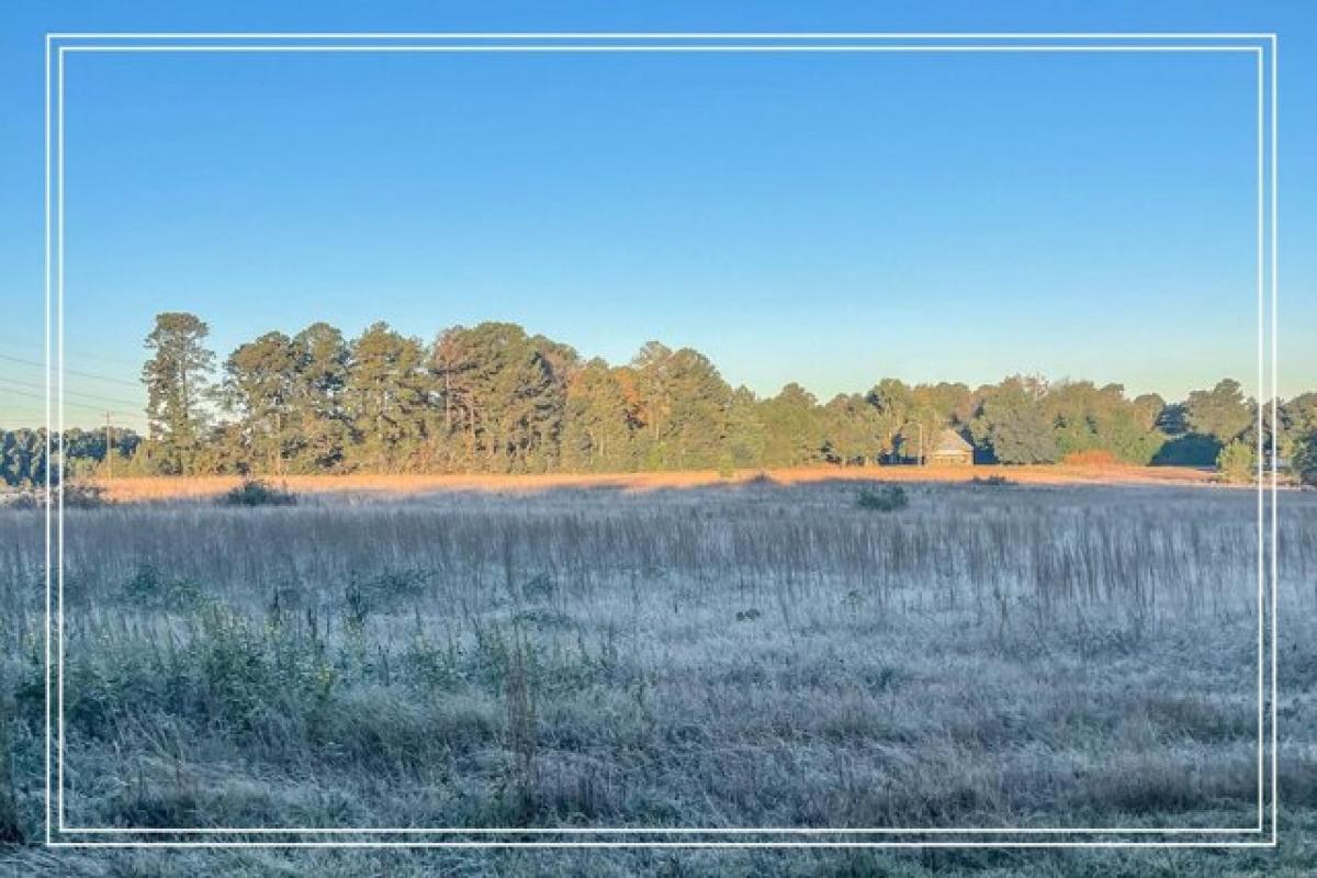 Picture of Residential Land For Sale in Aiken, South Carolina, United States