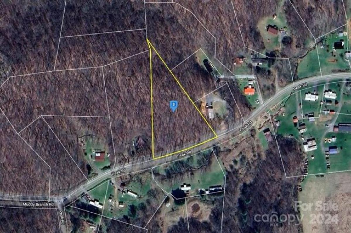 Picture of Residential Land For Sale in Creston, North Carolina, United States