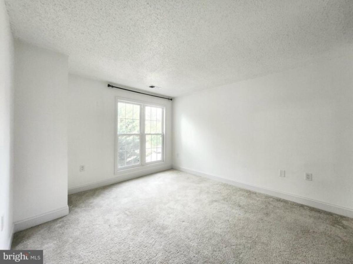 Picture of Apartment For Rent in Ashburn, Virginia, United States