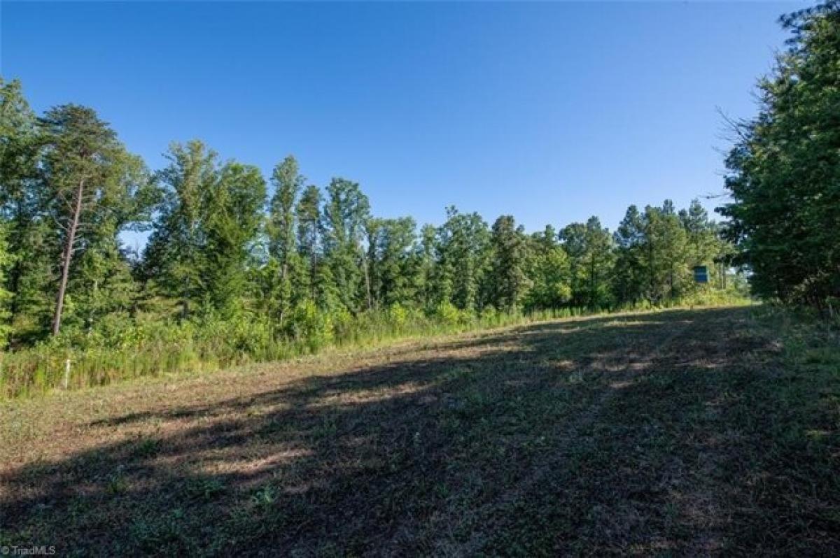 Picture of Residential Land For Sale in Ruffin, North Carolina, United States