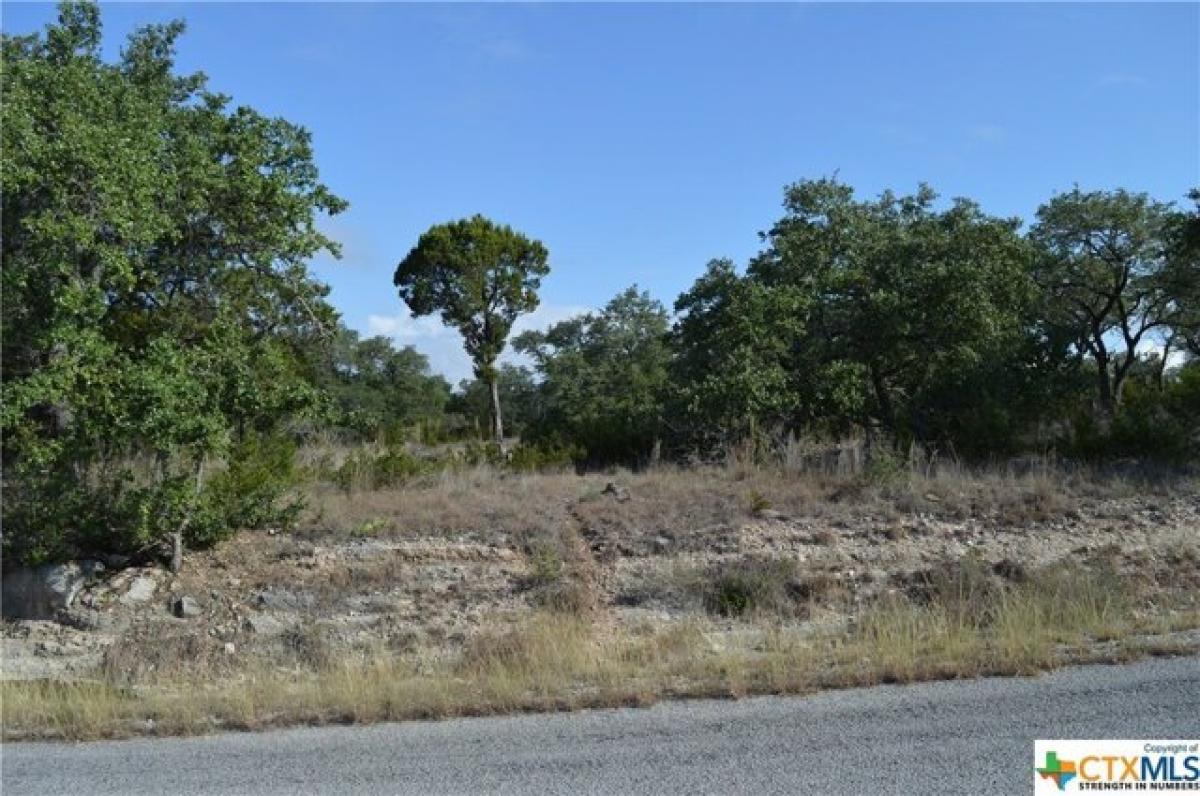 Picture of Residential Land For Sale in Fischer, Texas, United States