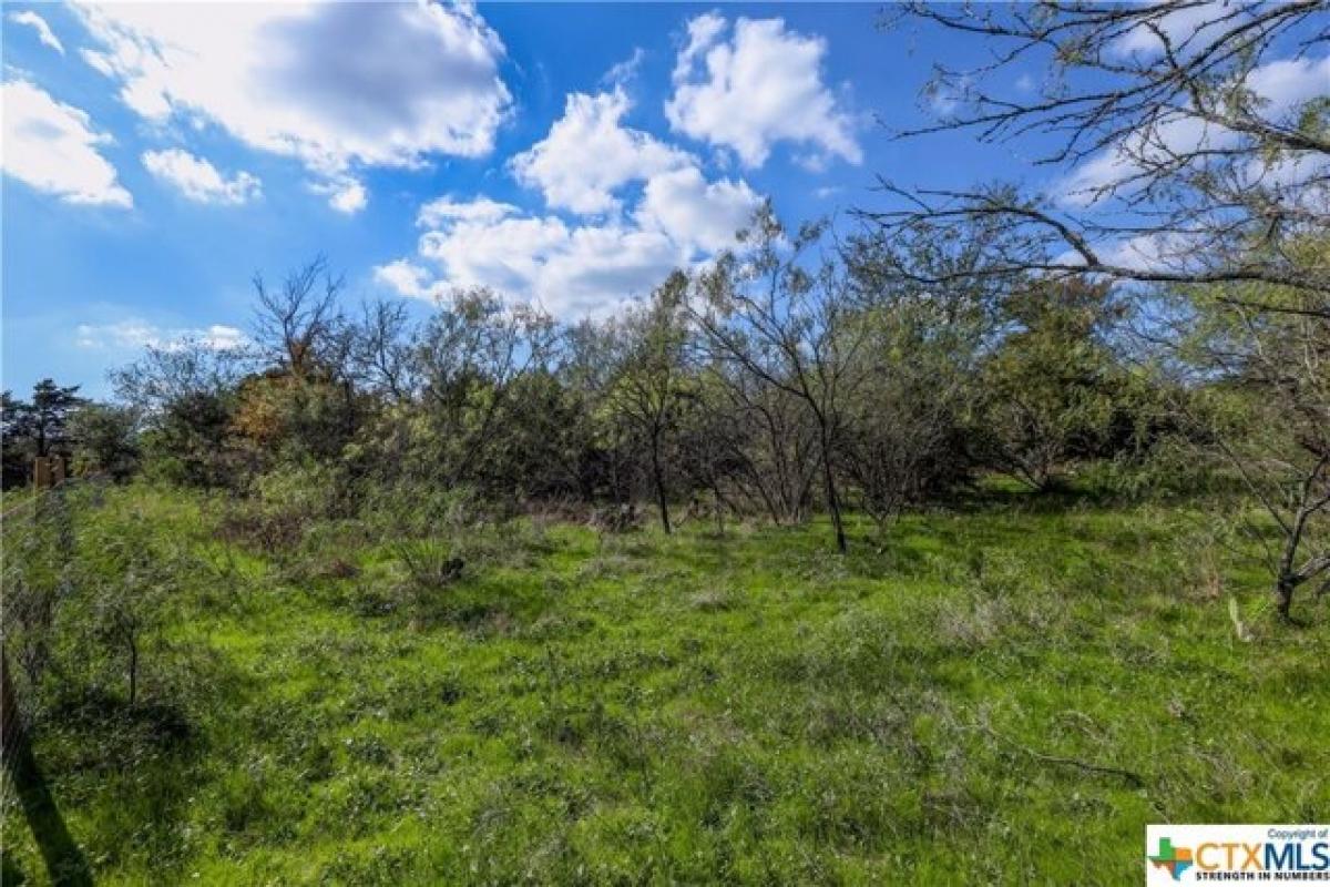 Picture of Residential Land For Sale in Dale, Texas, United States