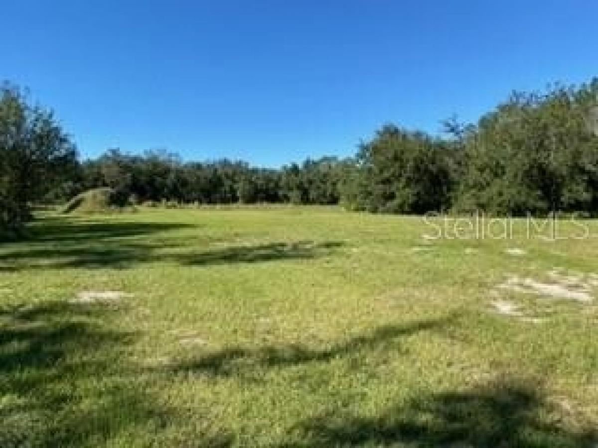 Picture of Residential Land For Sale in Arcadia, Florida, United States