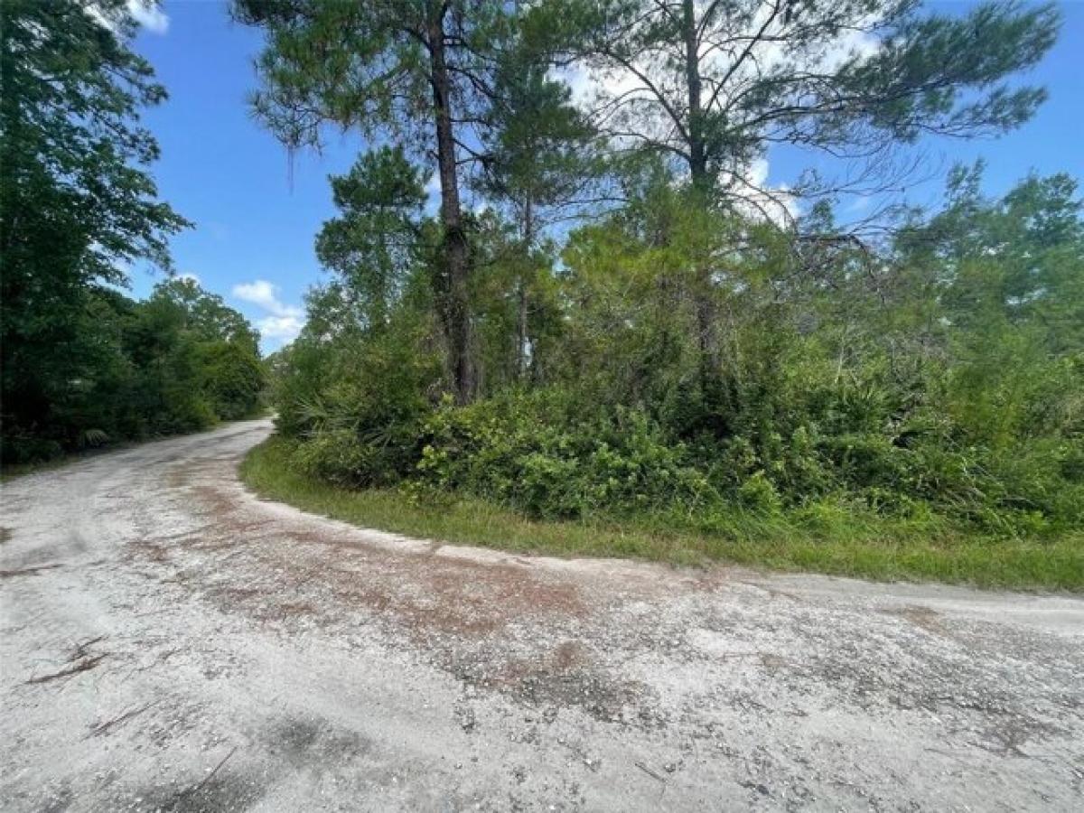 Picture of Residential Land For Sale in Paisley, Florida, United States