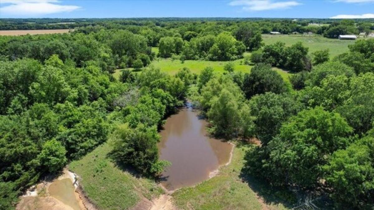 Picture of Residential Land For Rent in Trenton, Texas, United States