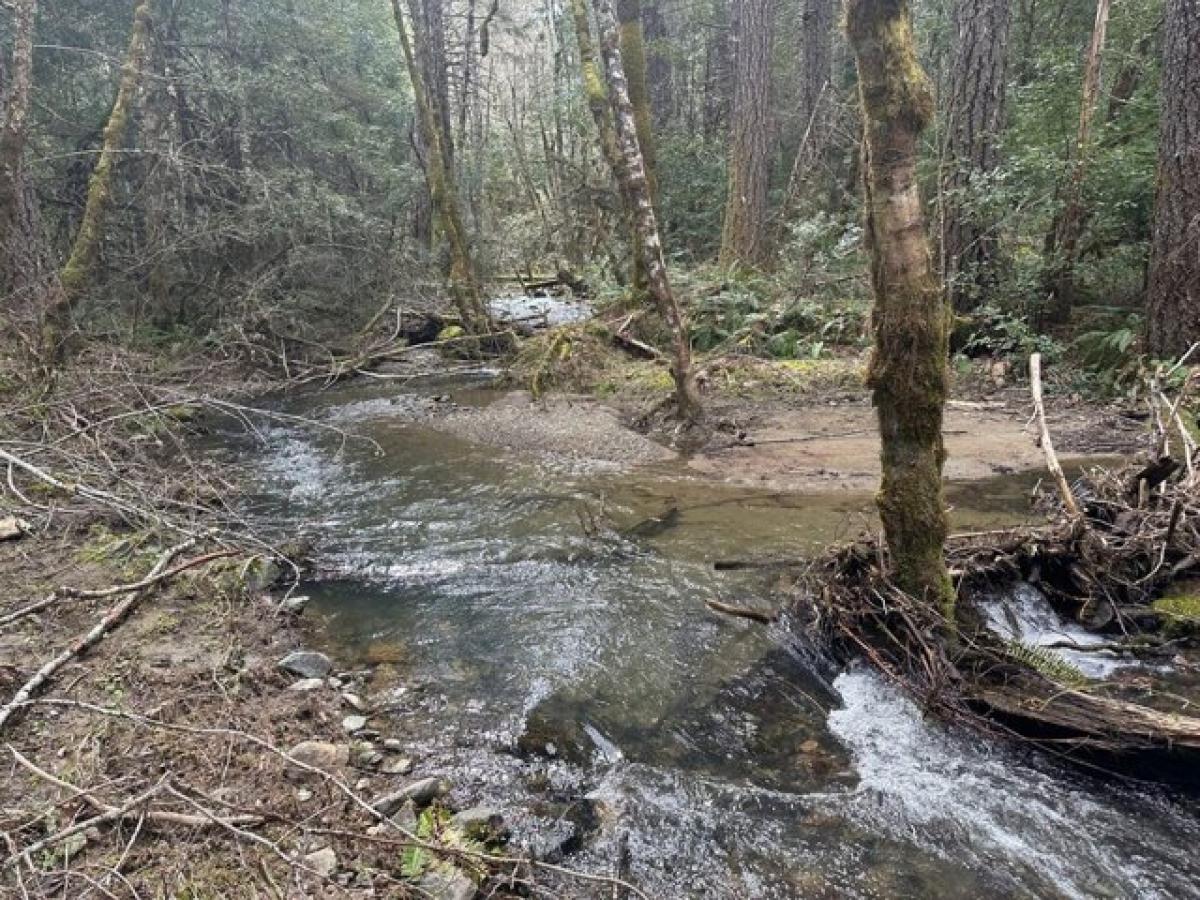 Picture of Residential Land For Sale in Williams, Oregon, United States