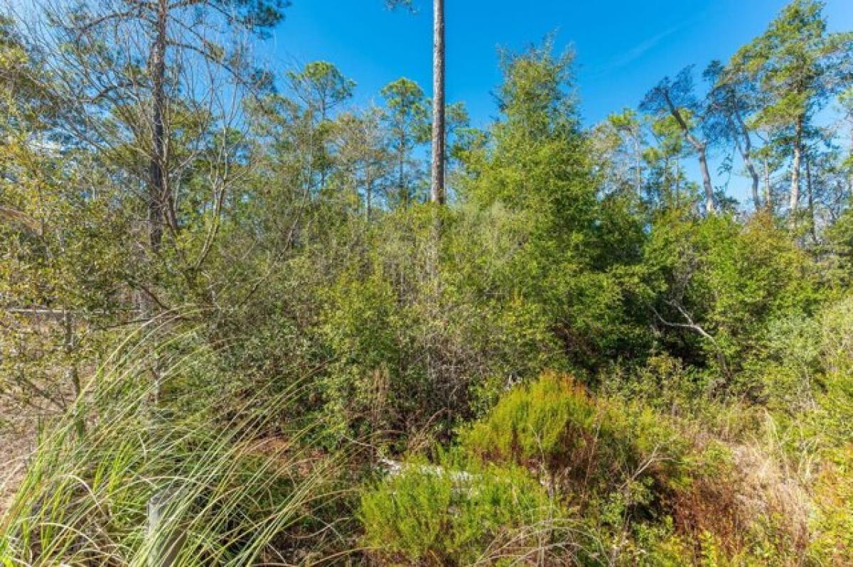 Picture of Residential Land For Sale in Navarre, Florida, United States