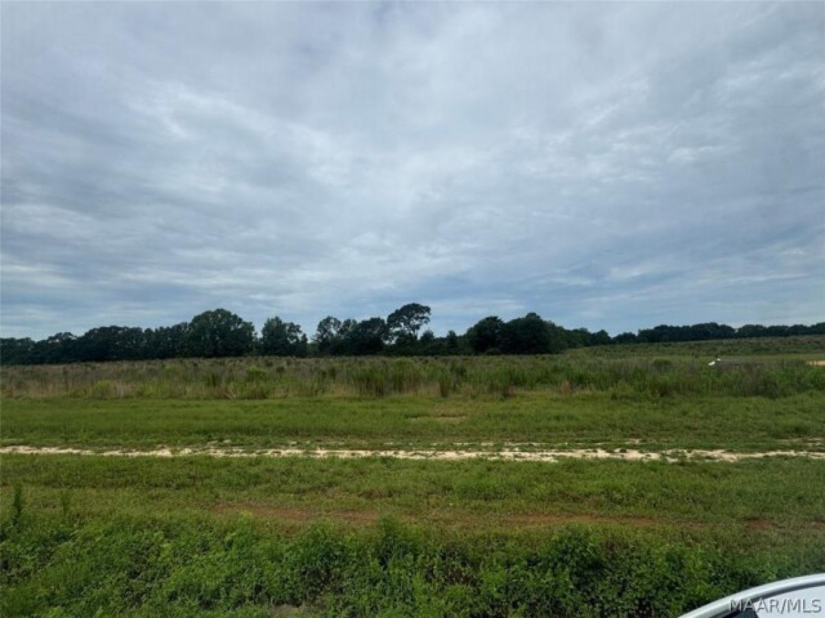 Picture of Residential Land For Sale in New Brockton, Alabama, United States