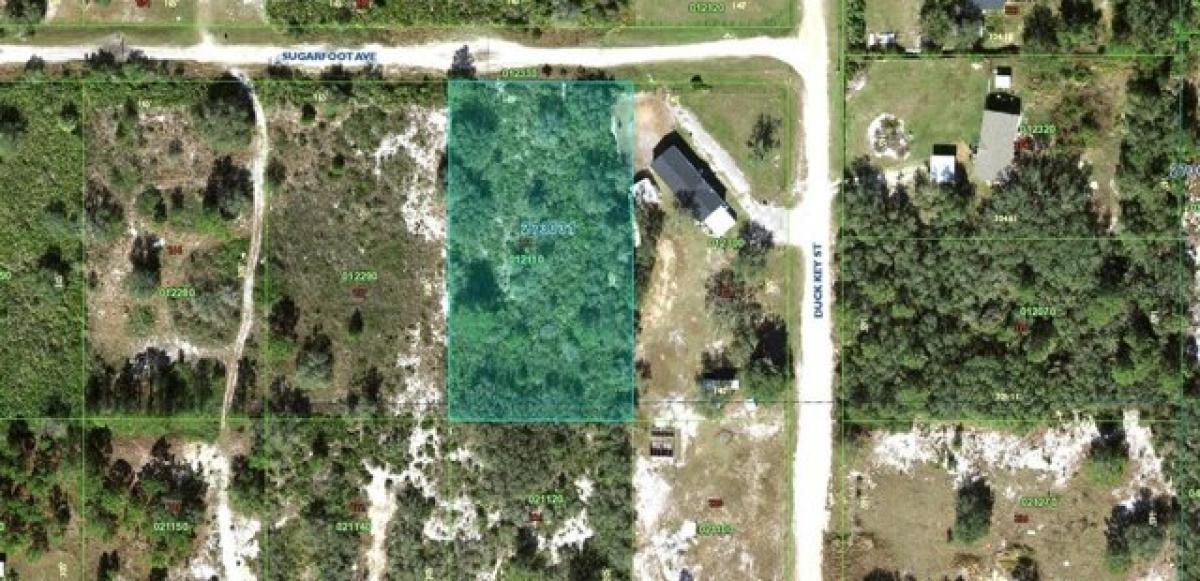 Picture of Residential Land For Sale in Lake Wales, Florida, United States