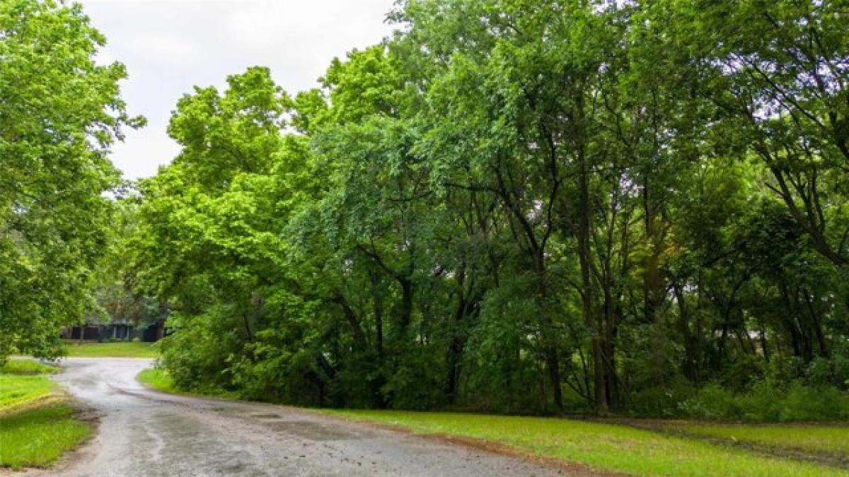 Picture of Residential Land For Sale in Van Alstyne, Texas, United States