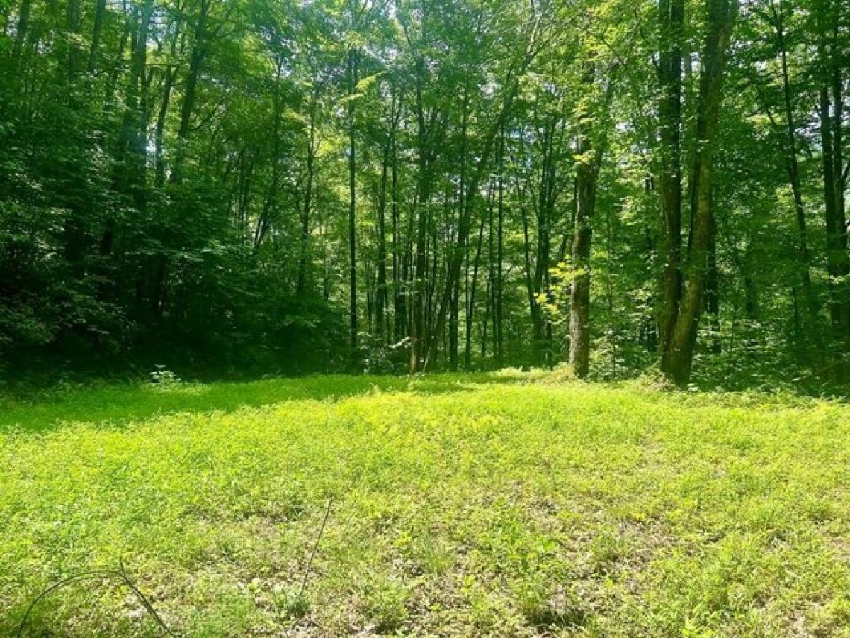 Picture of Residential Land For Sale in Bryson City, North Carolina, United States