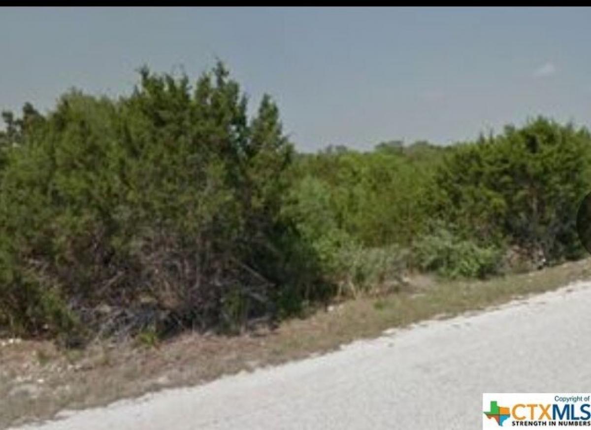 Picture of Residential Land For Sale in Fischer, Texas, United States