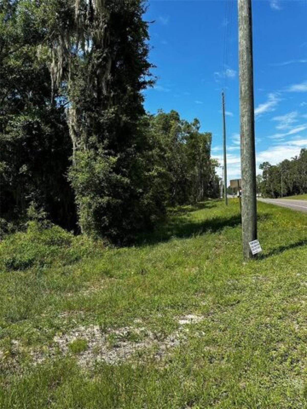 Picture of Residential Land For Sale in Bronson, Florida, United States