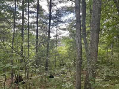 Residential Land For Sale in Idlewild, Michigan