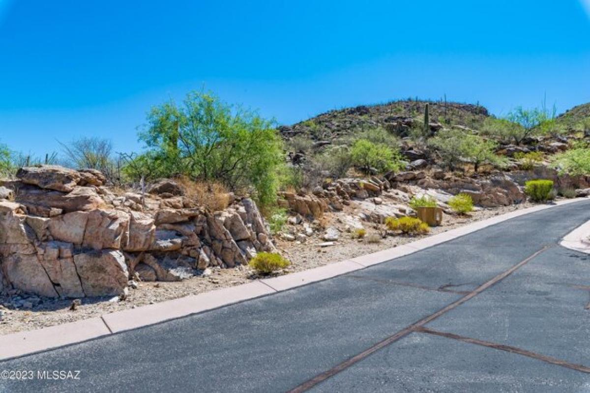 Picture of Residential Land For Sale in Marana, Arizona, United States