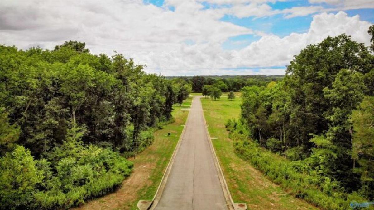 Picture of Residential Land For Sale in Decatur, Alabama, United States