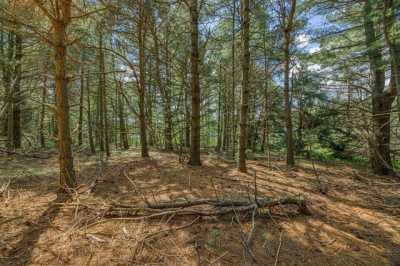 Residential Land For Sale in Three Lakes, Wisconsin