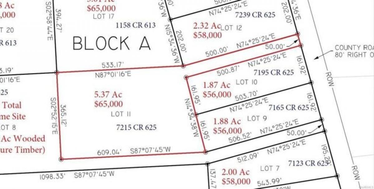 Picture of Residential Land For Sale in New Brockton, Alabama, United States