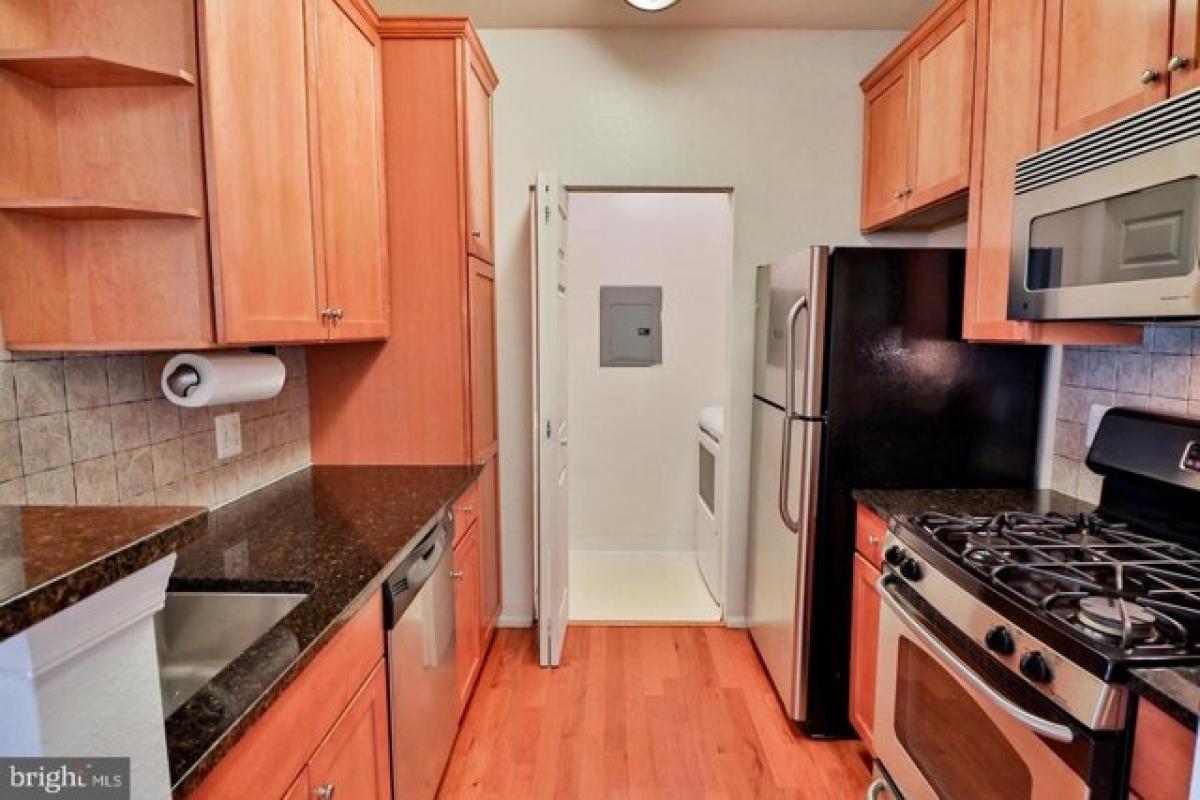 Picture of Apartment For Rent in Rockville, Maryland, United States