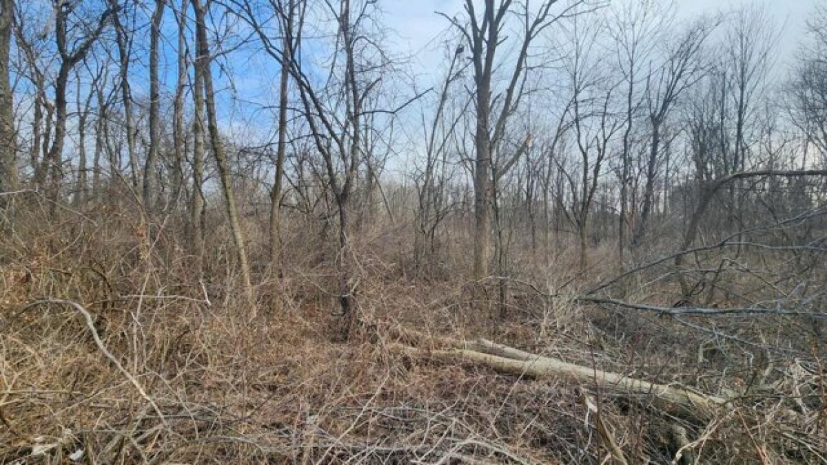 Picture of Residential Land For Sale in New Berlin, Wisconsin, United States