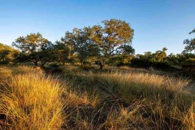 Residential Land For Sale in Harper, Texas