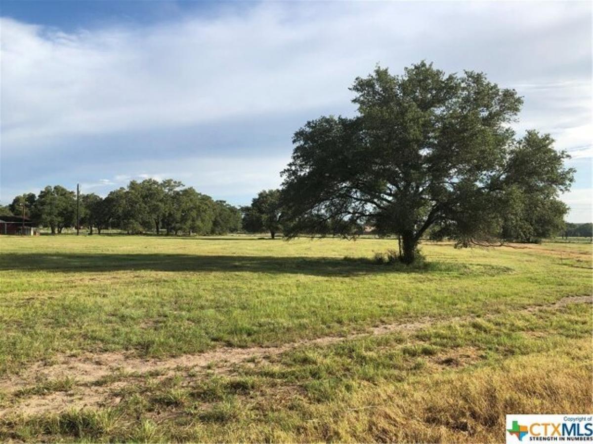 Picture of Residential Land For Sale in Hallettsville, Texas, United States