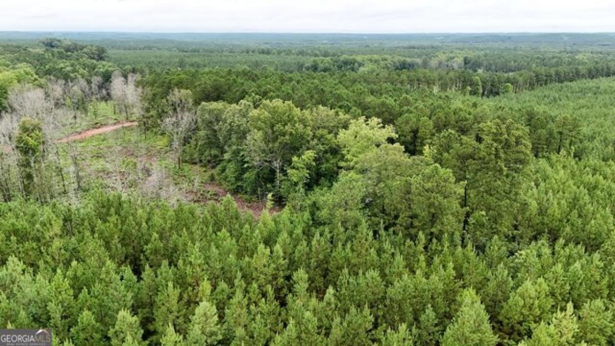 Picture of Residential Land For Sale in Lexington, Georgia, United States