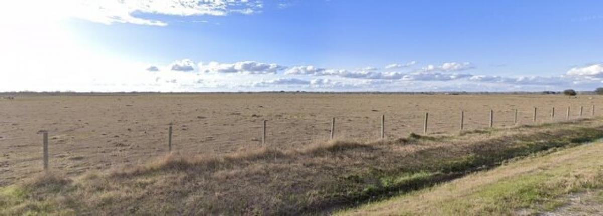 Picture of Residential Land For Sale in Damon, Texas, United States