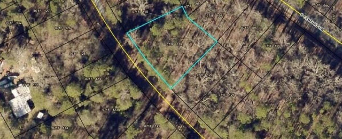 Picture of Residential Land For Rent in Martin, Georgia, United States