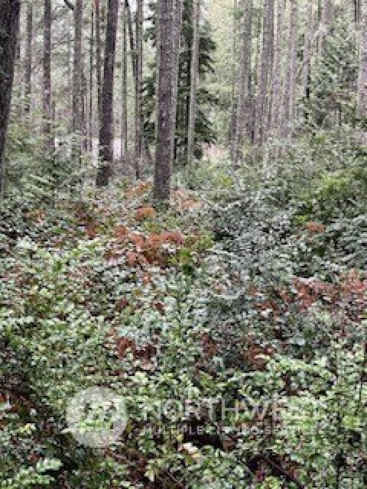 Picture of Residential Land For Sale in Anderson Island, Washington, United States