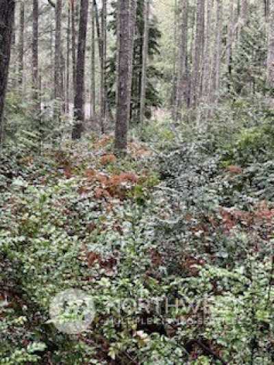 Residential Land For Sale in Anderson Island, Washington