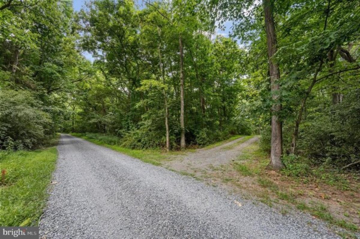 Picture of Residential Land For Sale in Berryville, Virginia, United States