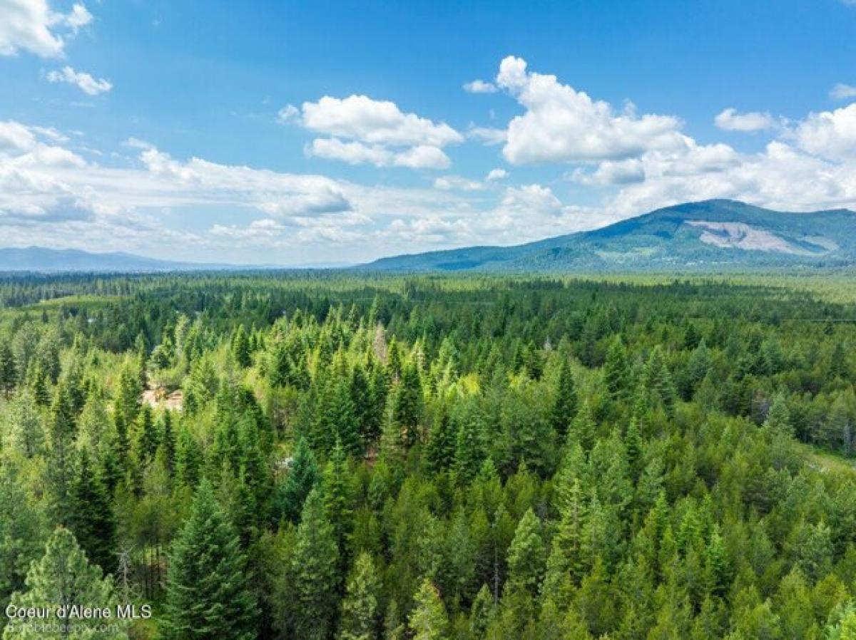 Picture of Residential Land For Sale in Rathdrum, Idaho, United States