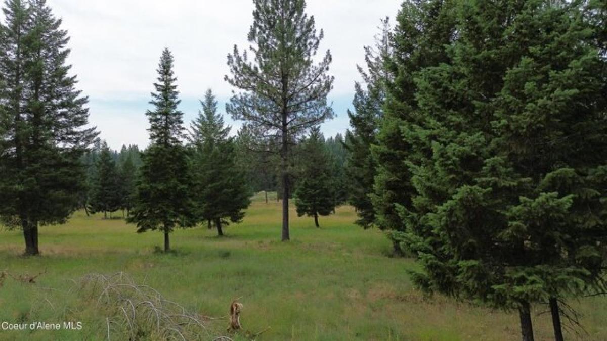 Picture of Residential Land For Sale in Athol, Idaho, United States