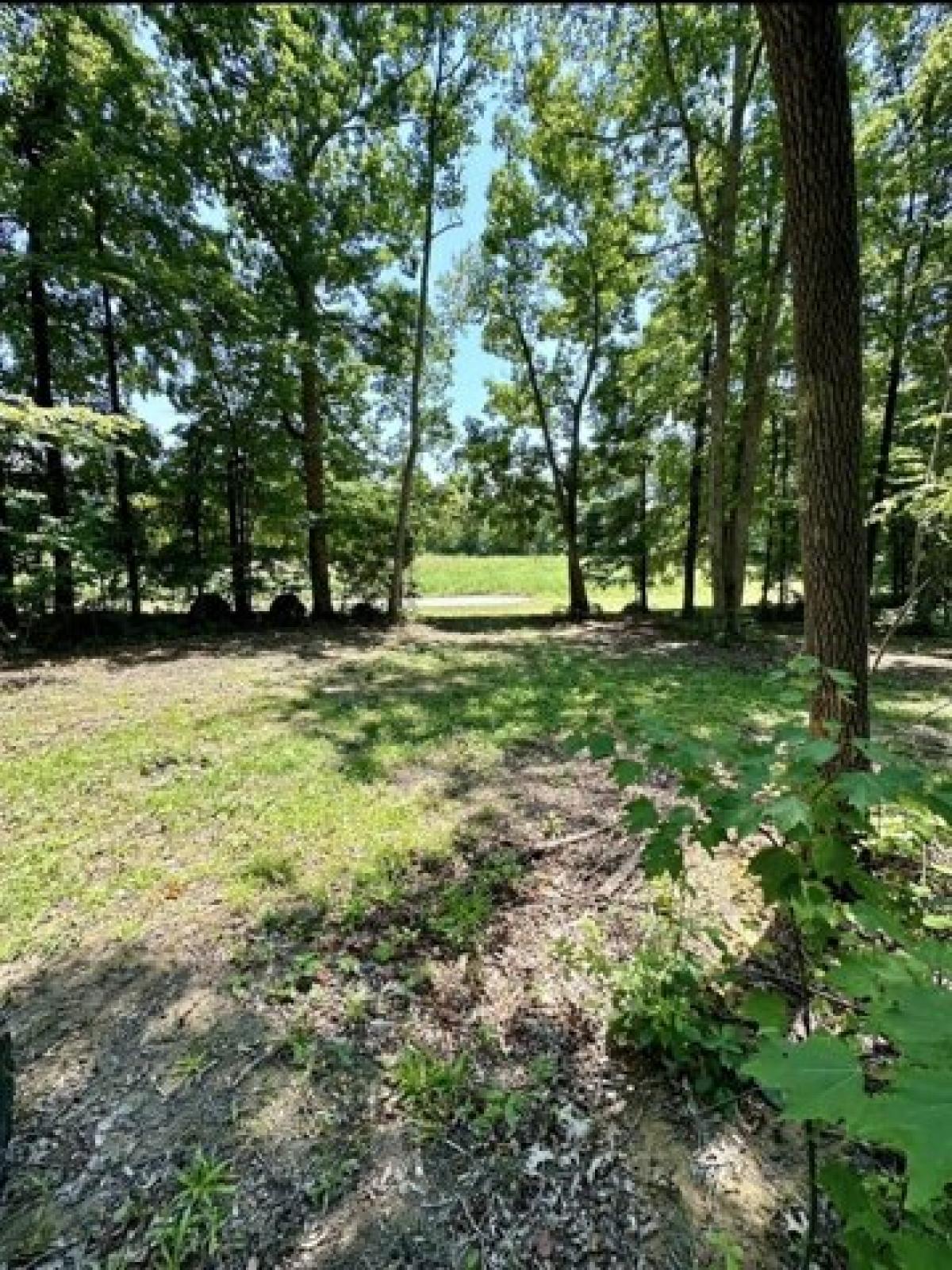 Picture of Residential Land For Sale in Albany, Kentucky, United States