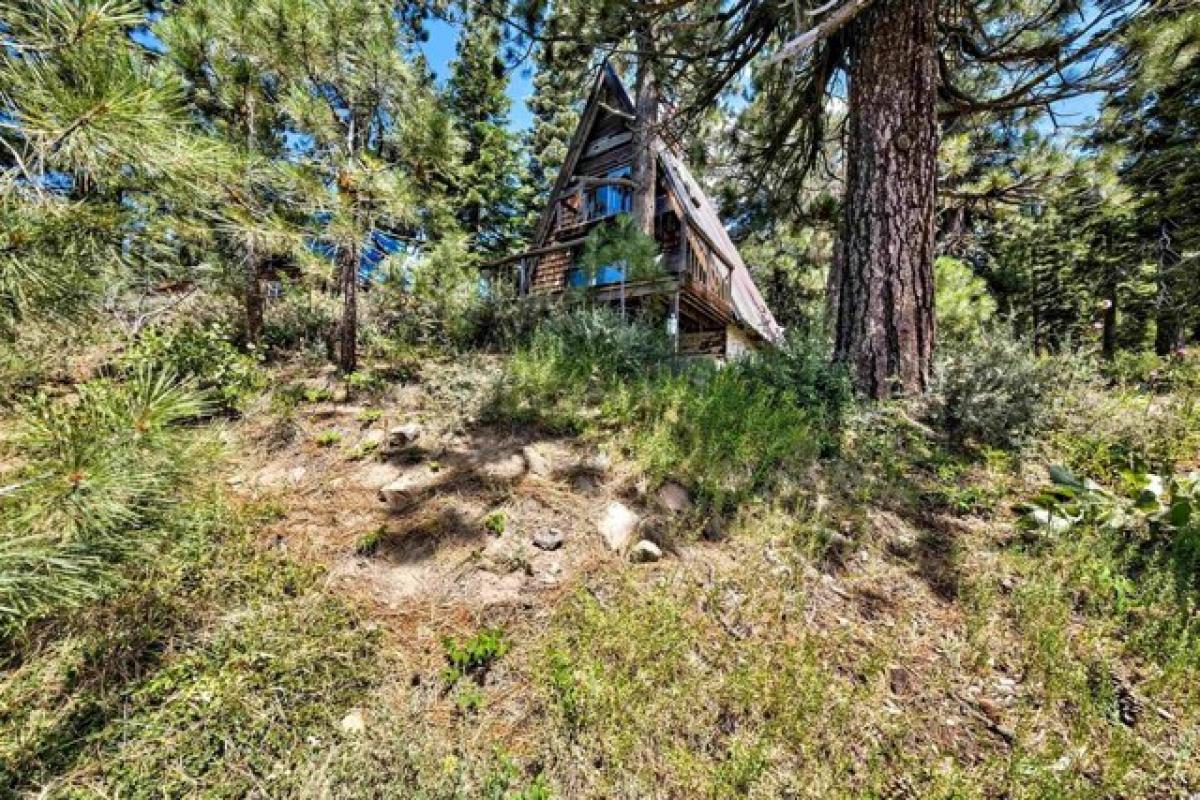 Picture of Residential Land For Sale in Truckee, California, United States