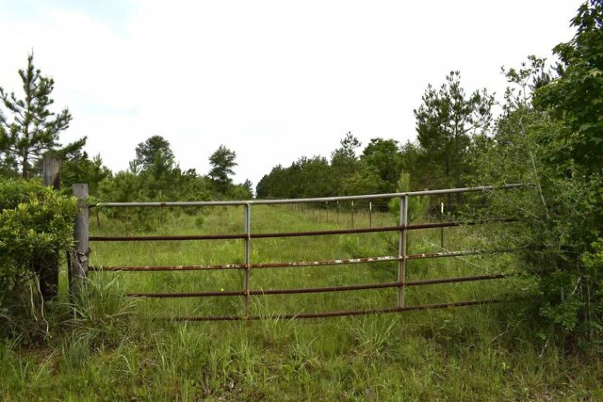 Picture of Residential Land For Sale in Buna, Texas, United States