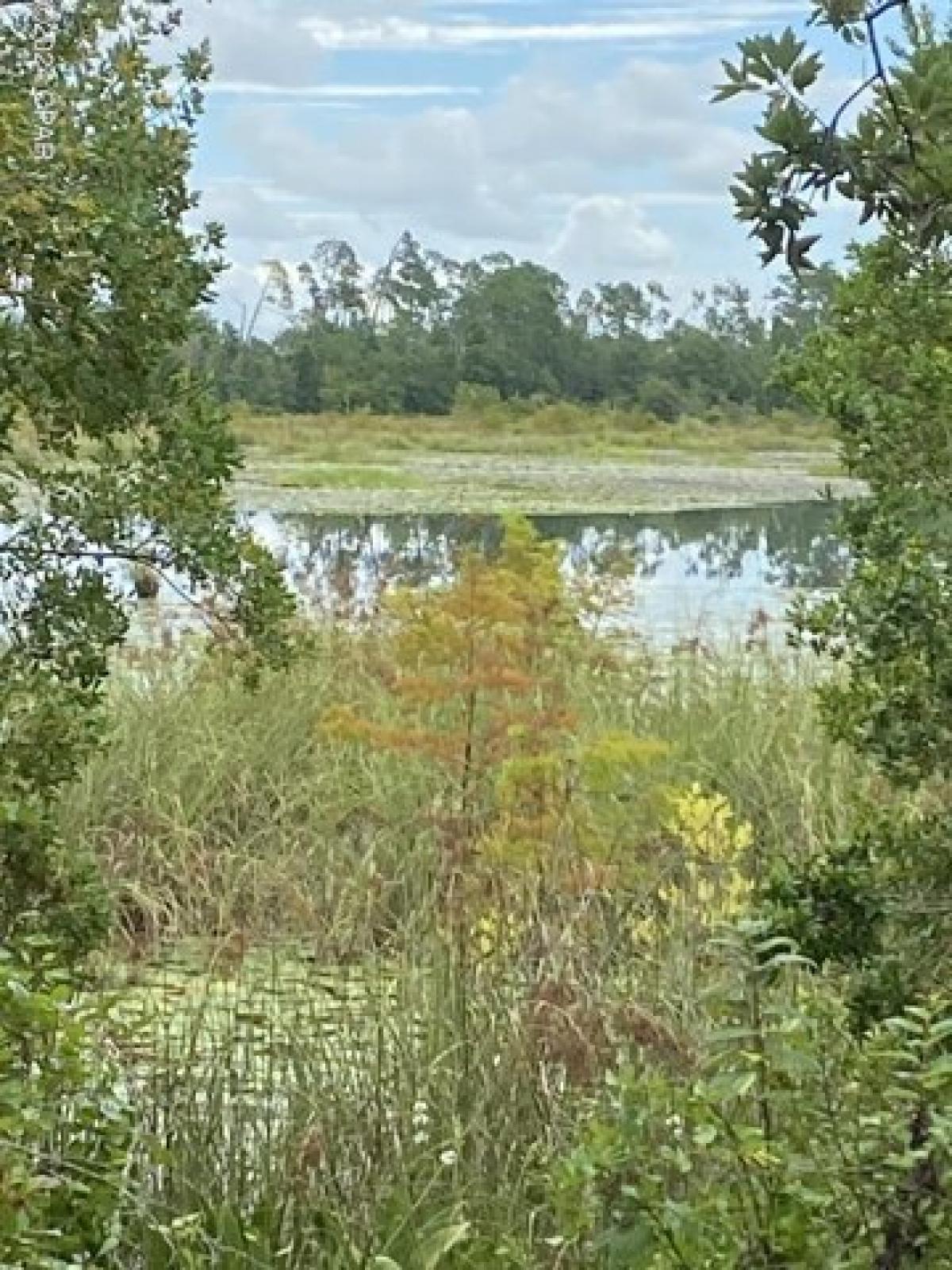 Picture of Residential Land For Sale in Southport, Florida, United States