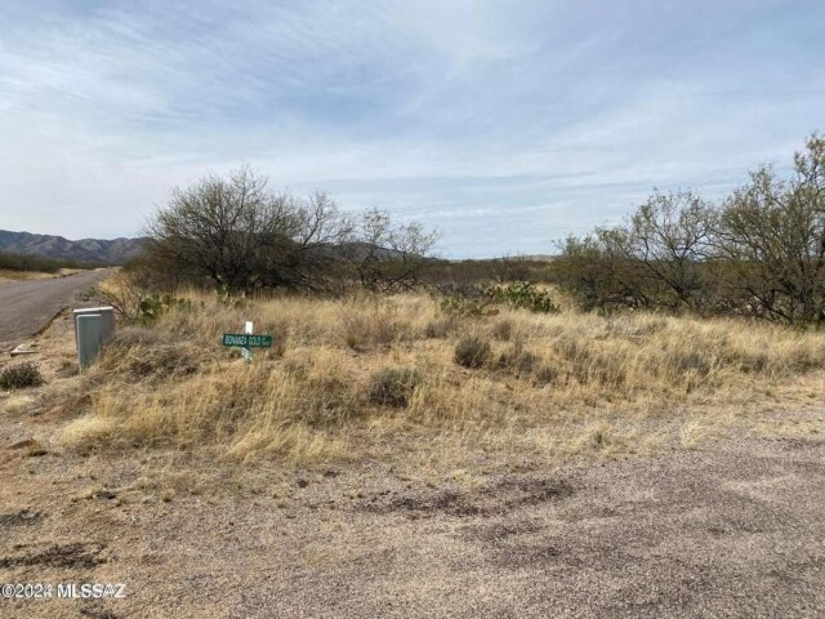 Picture of Residential Land For Sale in Sahuarita, Arizona, United States