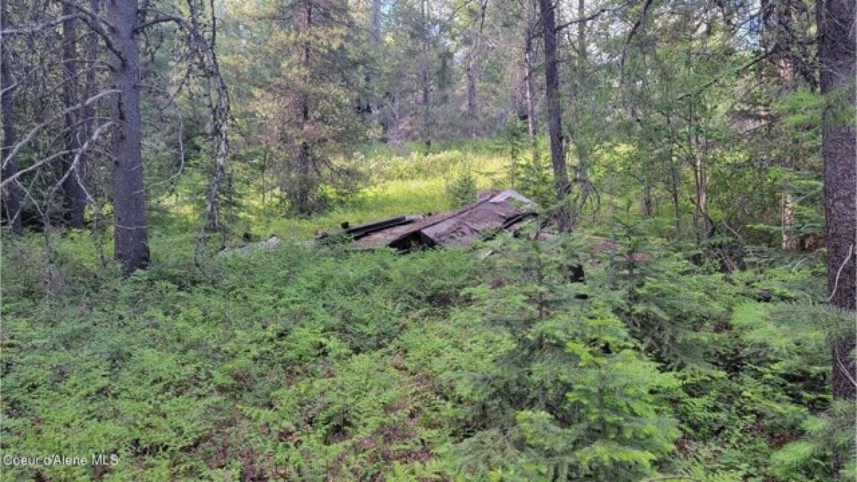 Picture of Residential Land For Sale in Priest River, Idaho, United States