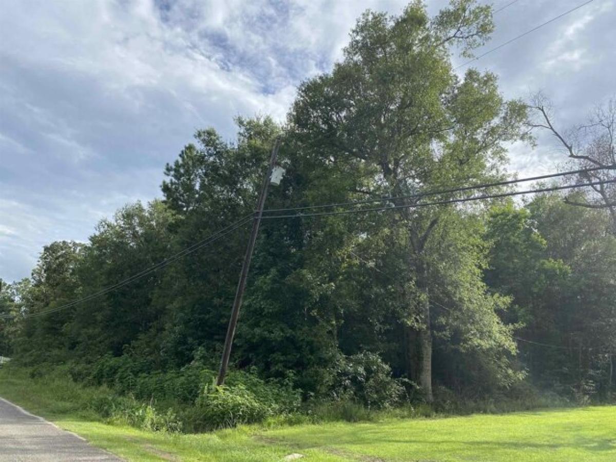 Picture of Residential Land For Sale in Orange, Texas, United States