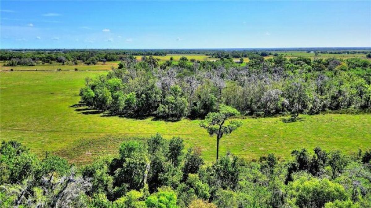 Picture of Residential Land For Sale in Zolfo Springs, Florida, United States