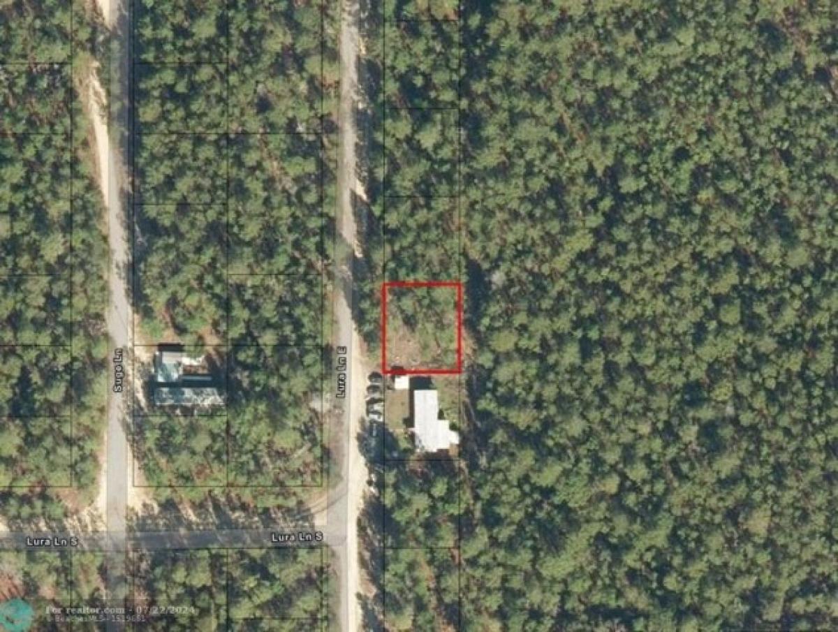 Picture of Residential Land For Sale in Florahome, Florida, United States