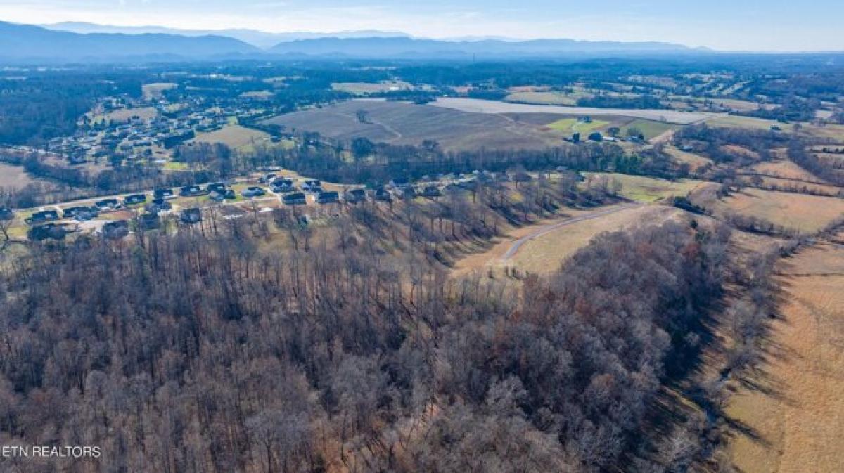 Picture of Residential Land For Sale in Maryville, Tennessee, United States