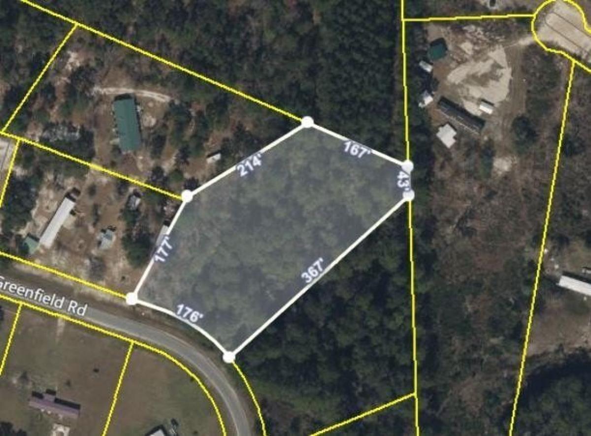 Picture of Residential Land For Sale in Blackshear, Georgia, United States