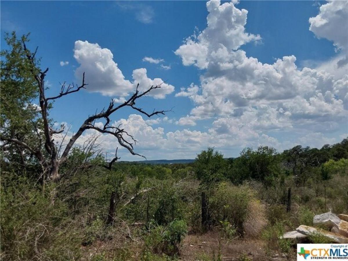 Picture of Residential Land For Sale in Spicewood, Texas, United States